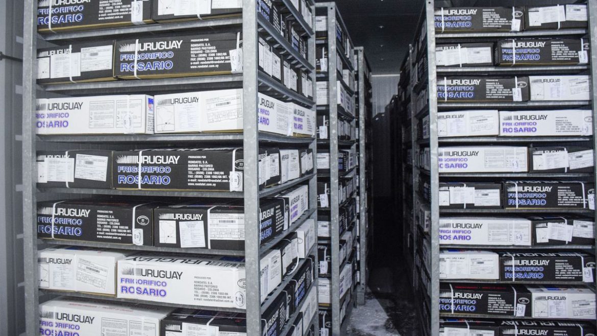 Trabajadores del Frigorífico Rosario entre penas y esperanzas mientras esperan un guiño del presidente Orsi