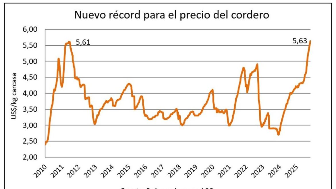 El precio del cordero mejoró un récord de 14 años y el de la carne ovina sigue por las nubes