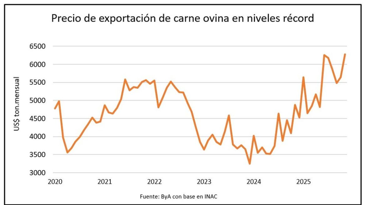 Productores animados porque los precios de lanas finas de Uruguay subieron 20% a 35% y la carne vale mucho