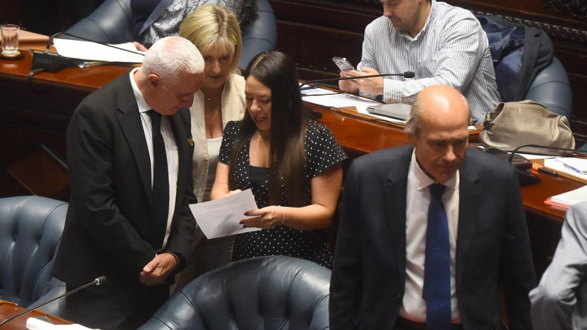 "Estamos eligiendo el camino de las respuestas públicas serias", dijo el ministro Negro sobre seguridad