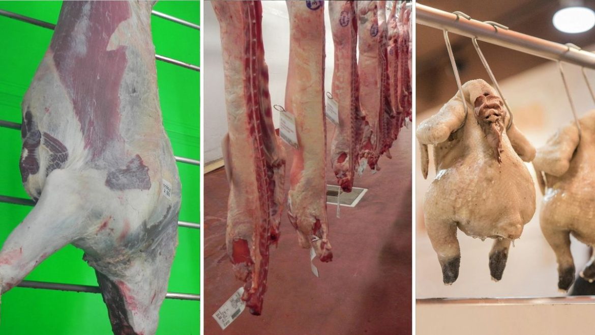 La industria frigorífica en el último año completo: más faena vacuna, menos de ovinos y más para carne aviar