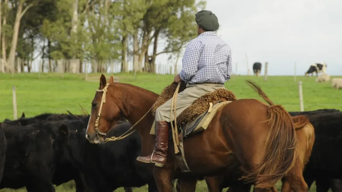 Trabajadores rurales con nuevo acuerdo: ajustes salariales, partida para útiles escolares y licencia por cuidados