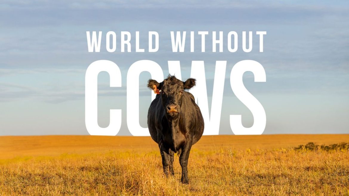 Documental que se estrenará en Agro en Punta responderá si estaríamos mejor en un mundo sin vacas