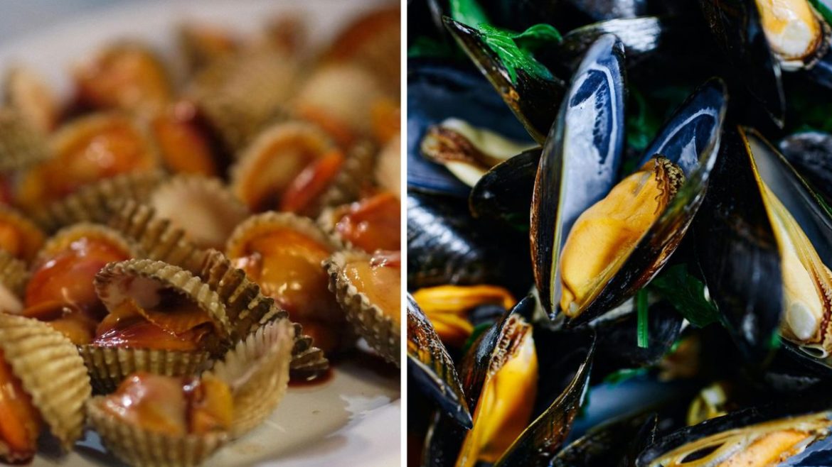 MGAP activó una veda inmediata de consumo para dos productos por marea roja en Rocha