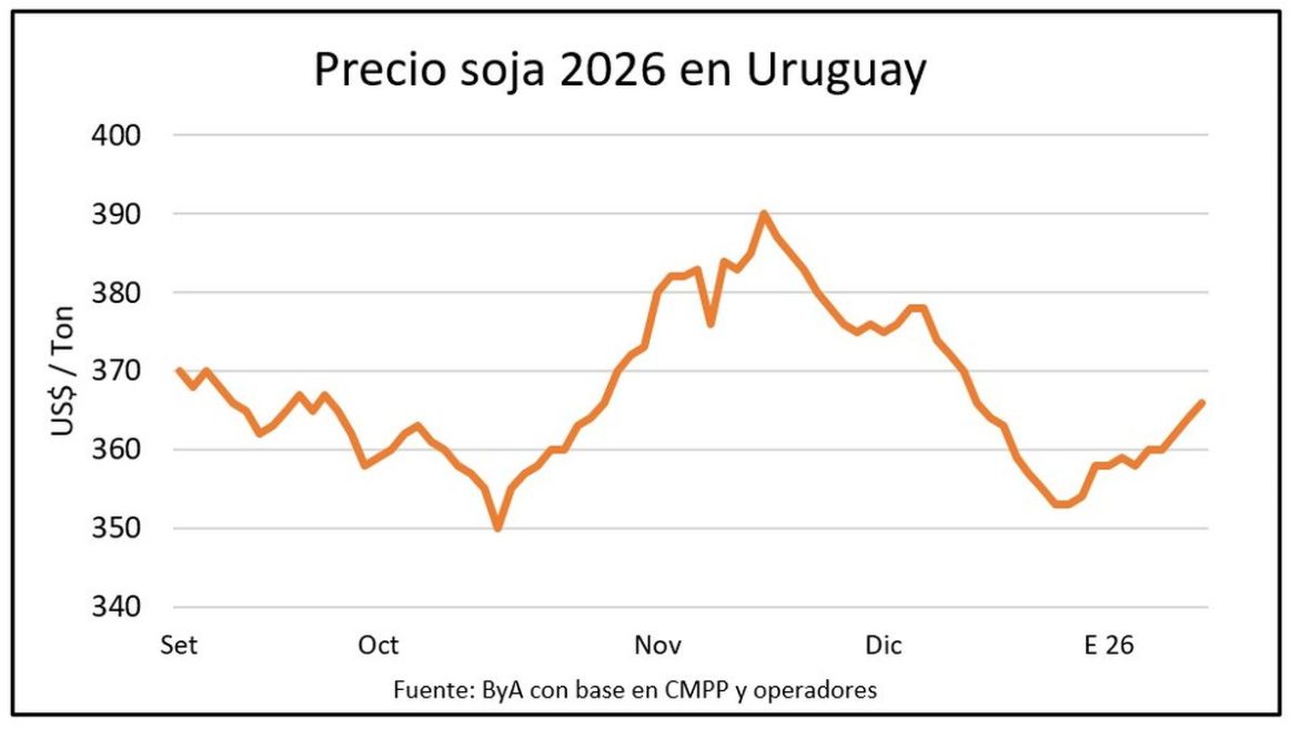Escenario exigente para los cultivos de verano por el clima, los precios y el dólar