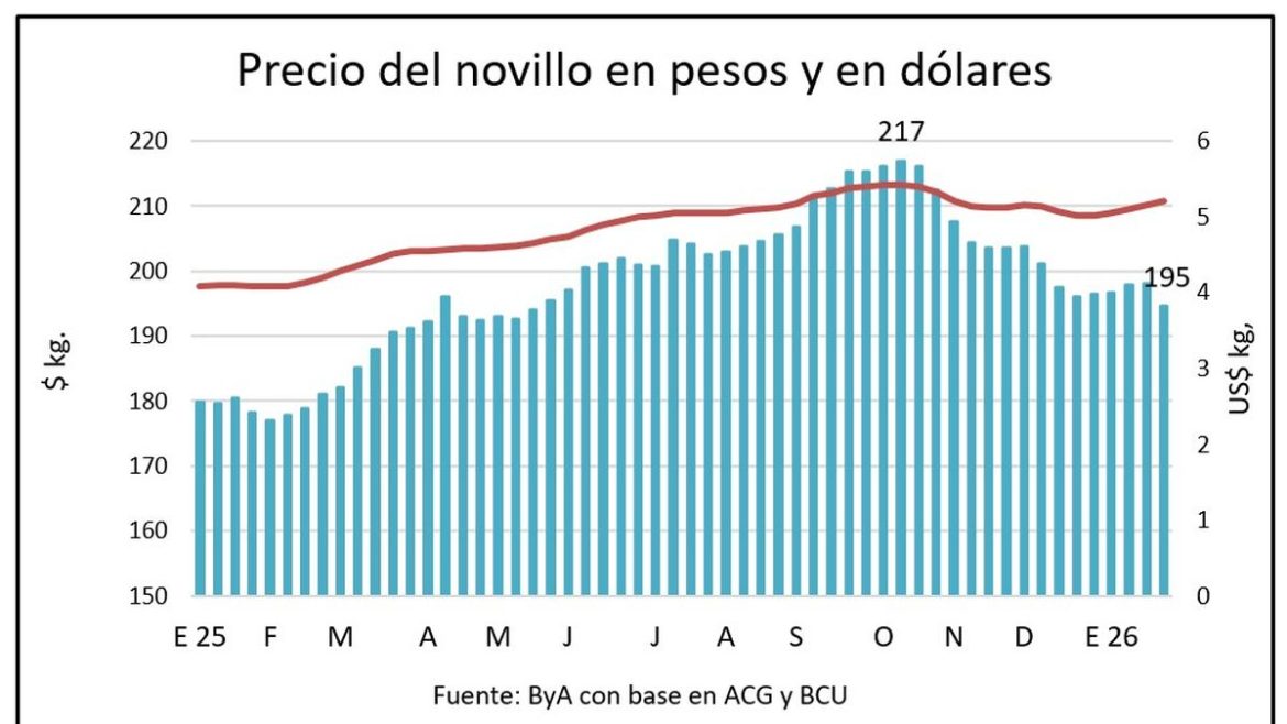 Sigue la escalada de precios en un mercado ganadero encendido y los novillos quedaron cerca de US$ 5,50