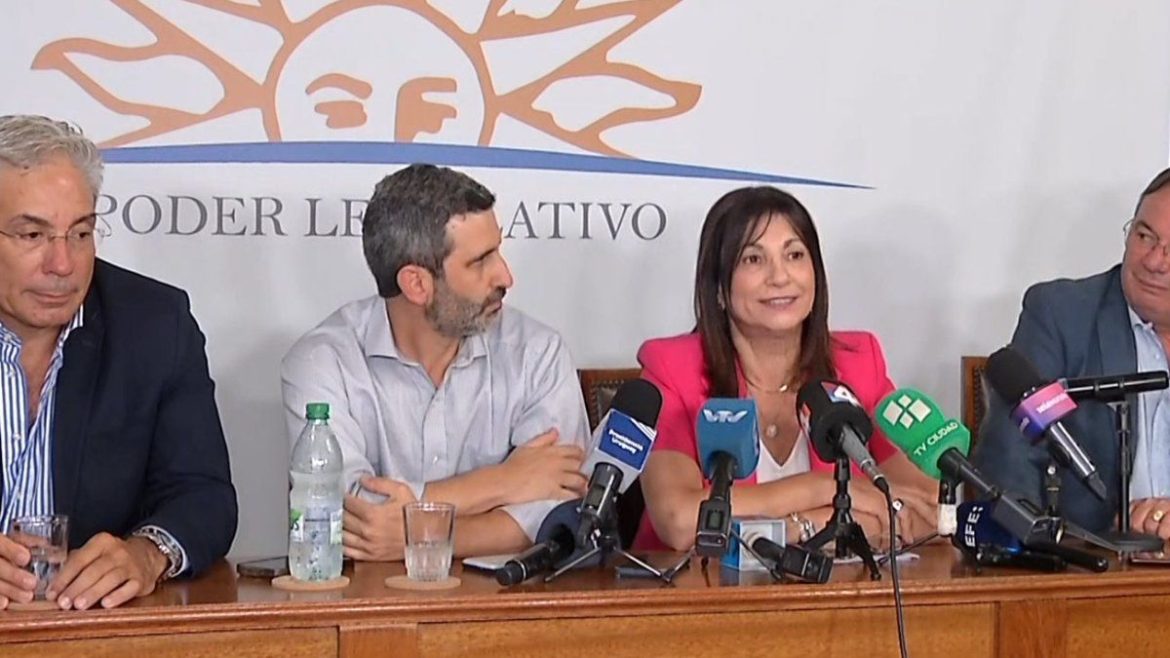 Lubetkin entregó al Parlamento acuerdo Mercosur-UE; comisión comienza a trabajar el documento el próximo martes