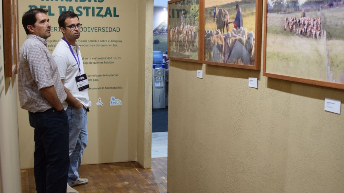 El año de los pastizales y los pastores en Agro en Punta, fotos premiadas y un conversario sobre un tema clave