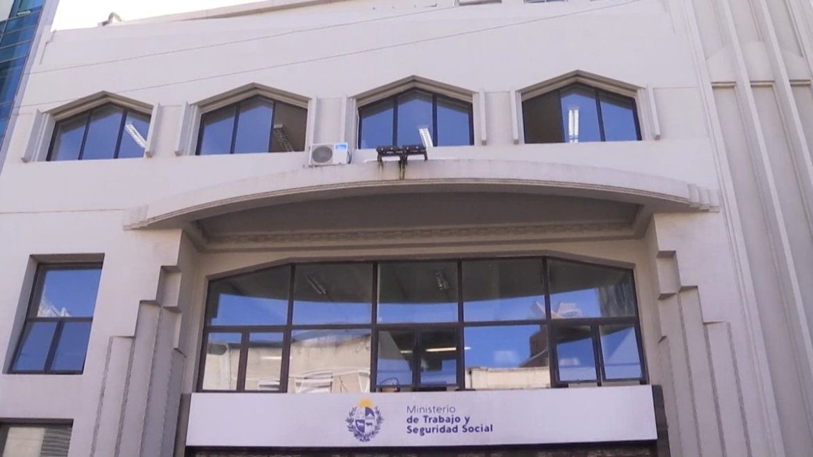 Castillo dijo que buscan fortalecer cuerpos inspectivos del MTSS ante niveles por debajo de lo que recomienda la OIT