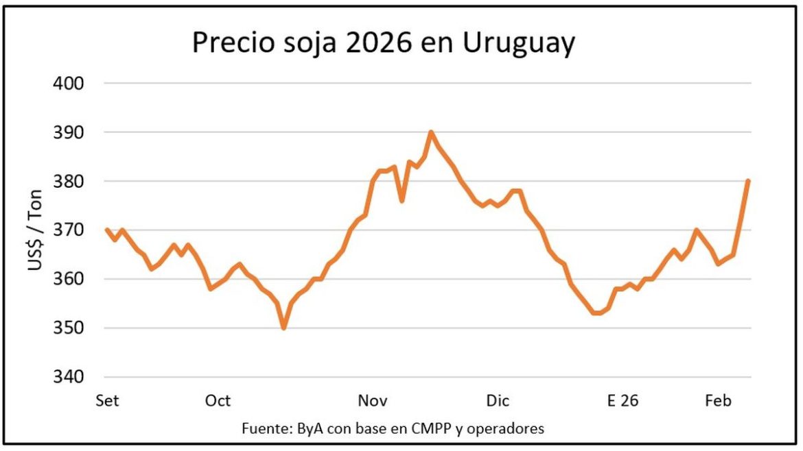 Un posteo de Trump abre una oportunidad para la soja
