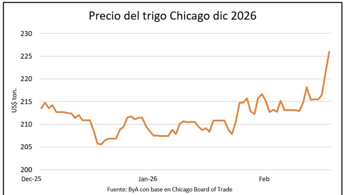 Mercado de granos: se mueve el petróleo, despierta el trigo y se afirma la soja