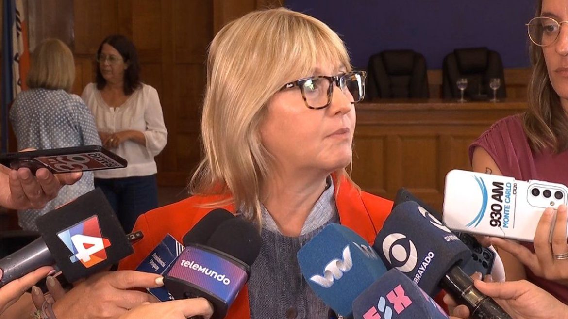 Caso Jonathan: Lustemberg habló de una "situación desgarrante" y de la responsabilidad del Estado