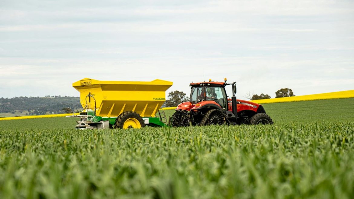 En el mercado de granos el petróleo manda y la presión sobre los fertilizantes se agudiza