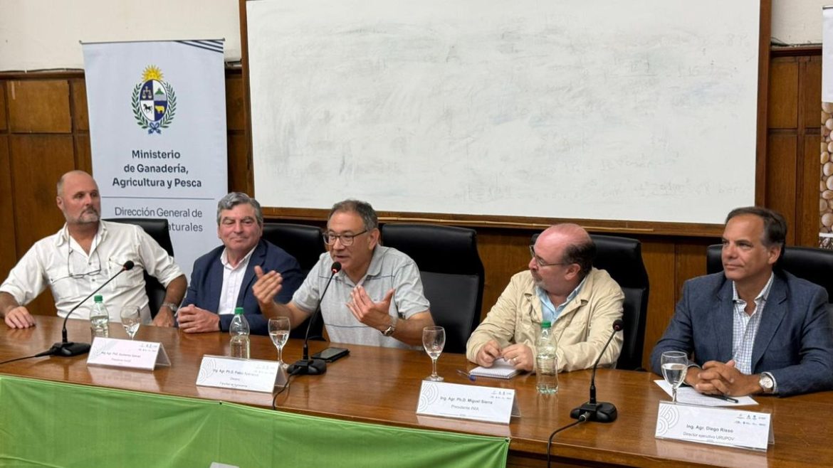 Uruguay y un día para valorar al mejoramiento de la genética vegetal: "Día Nacional del Fitomejoramiento"