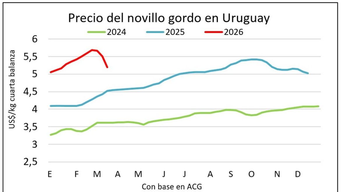 Mercado ganadero por dos carriles: el gordo ajusta y los terneros marcan nuevos récords