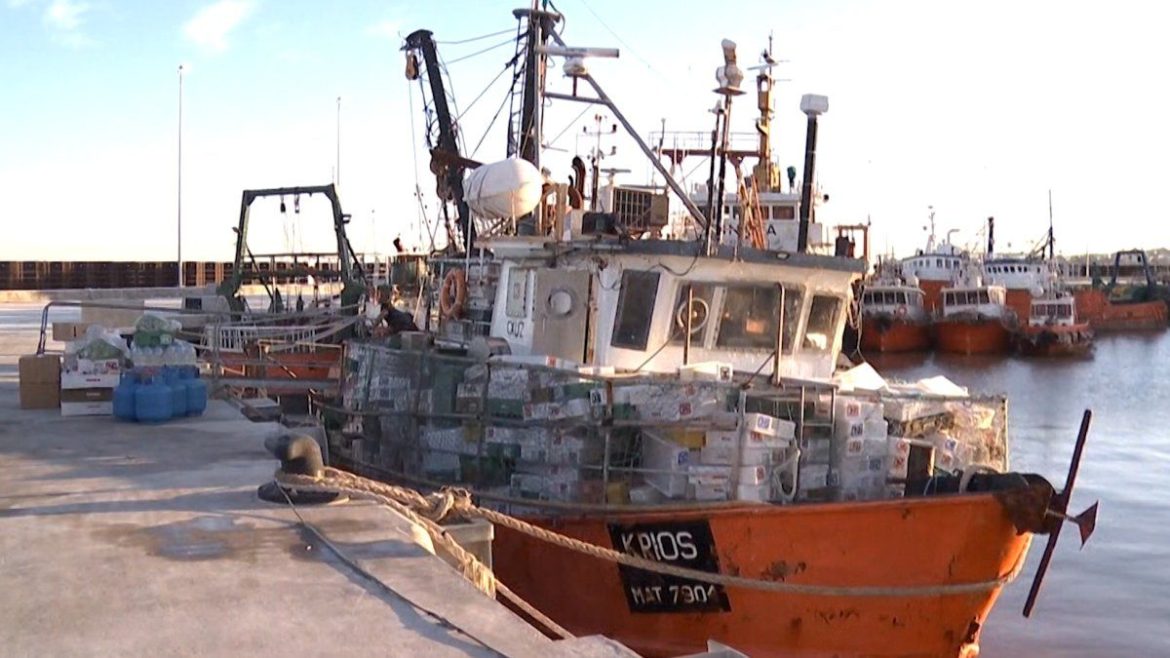 Ancap resolvió aumentar 7% precio del gasoil marino para pesca y que tenga "iguales condiciones" que otros combustibles