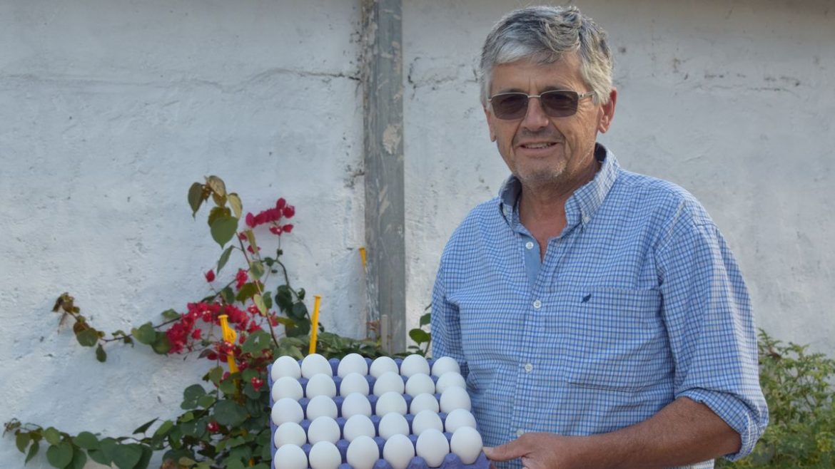 La historia de Danilo, el productor que prefiere comer huevos blancos y el cuidado del bolsillo del obrero