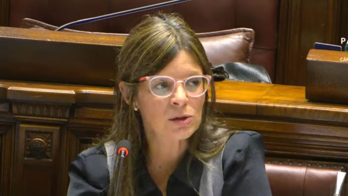 Interpelación al Mides y al INAU terminó sin mayoría para ninguna moción, ni de apoyo ni de rechazo
