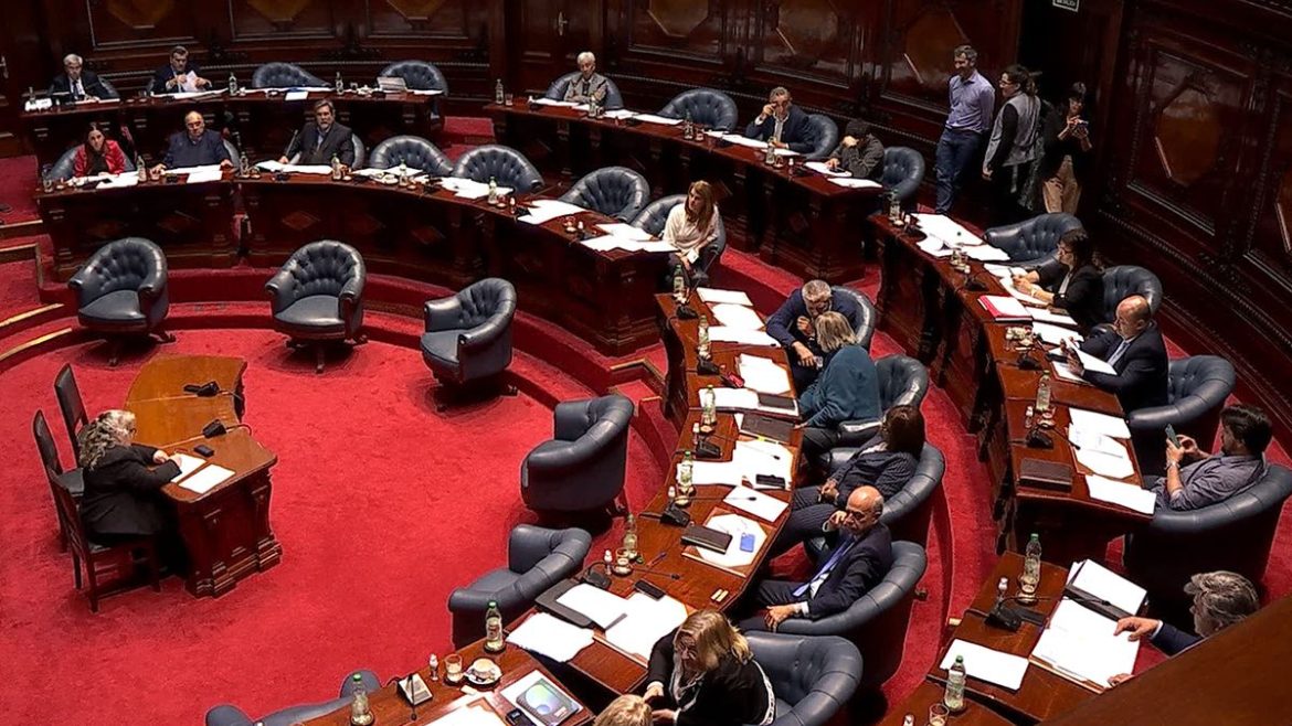 Senado debate en el plenario la creación del Comisionado Parlamentario para la Niñez y la Adolescencia