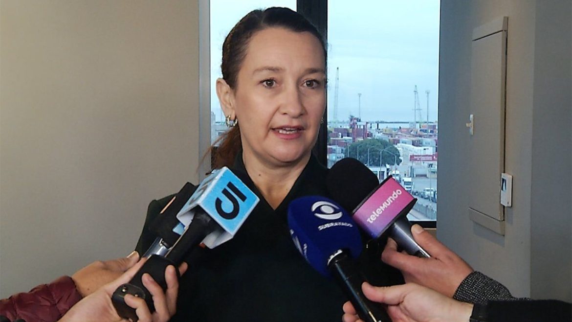 Acuerdo Mercosur-UE: vicecanciller estimó que la próxima semana podría comenzar a abrirse el mercado de carnes