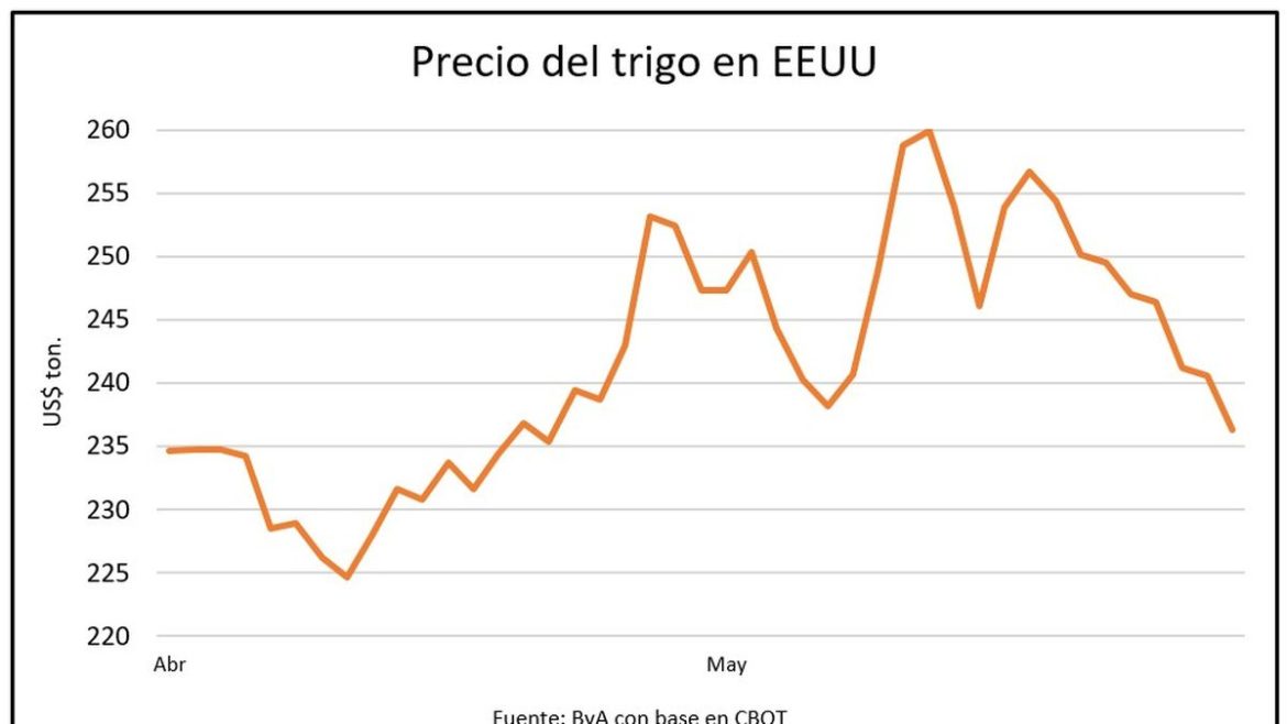 El precio del trigo se desploma en una semana de ajustes para los granos