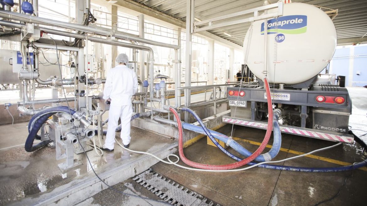 La solución de Conaprole a uno de los problemas graves que originó el cierre de Coleme