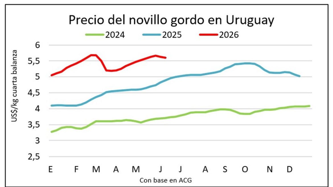 Los precios del ganado gordo retrocedieron por primera vez tras subas durante nueve semanas consecutivas