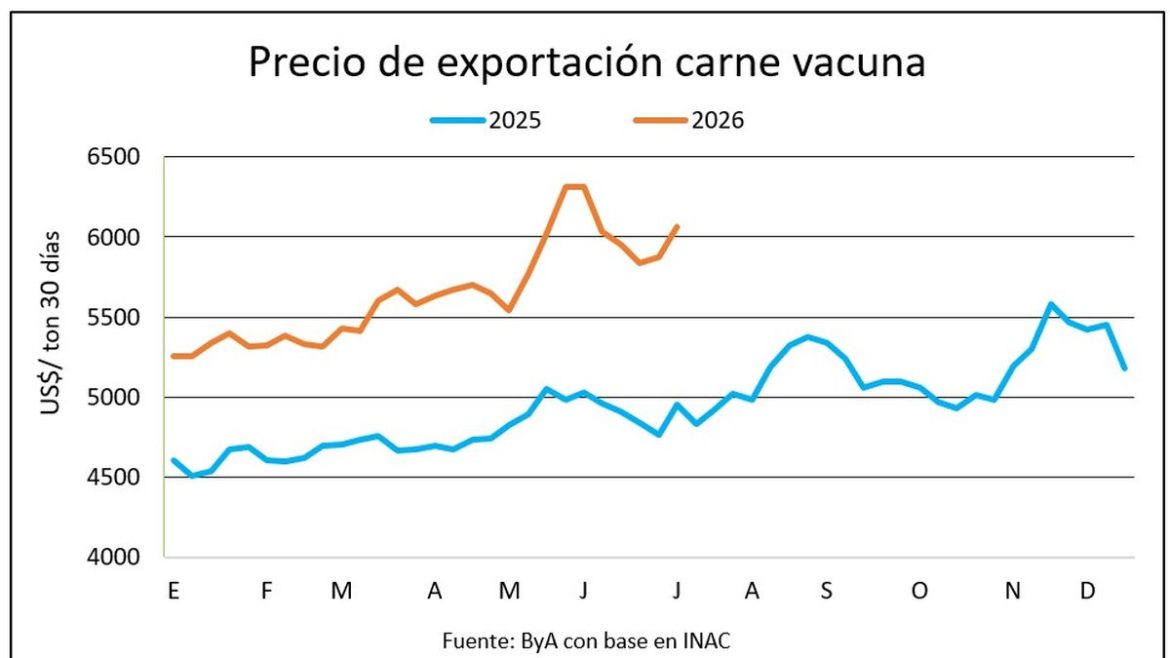 Estabilidad en el mercado ganadero y firmeza en los precios de la carne vacuna embarcada
