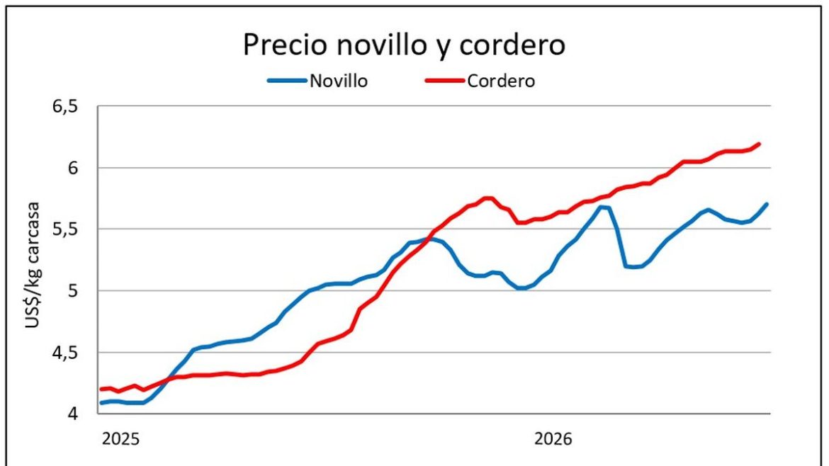 Se activa el mercado de lanas y el precio de la carne ovina repunta desde el piso anual de oferta