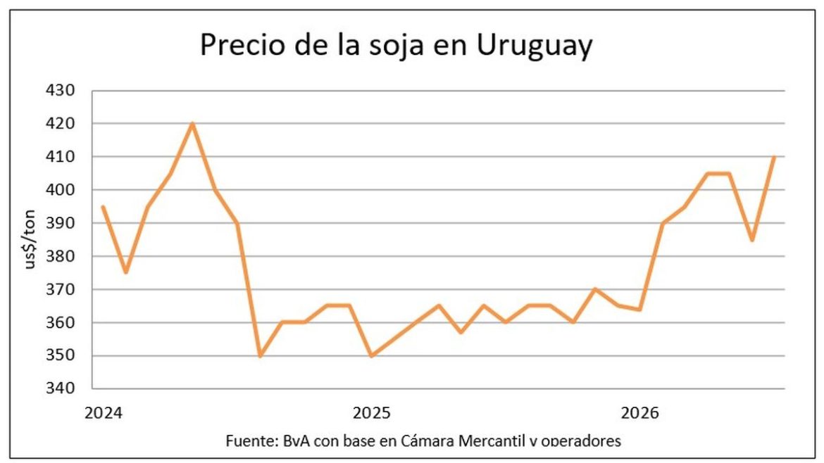 Los granos siguen al alza y en Uruguay alcanzan los mayores precios en años
