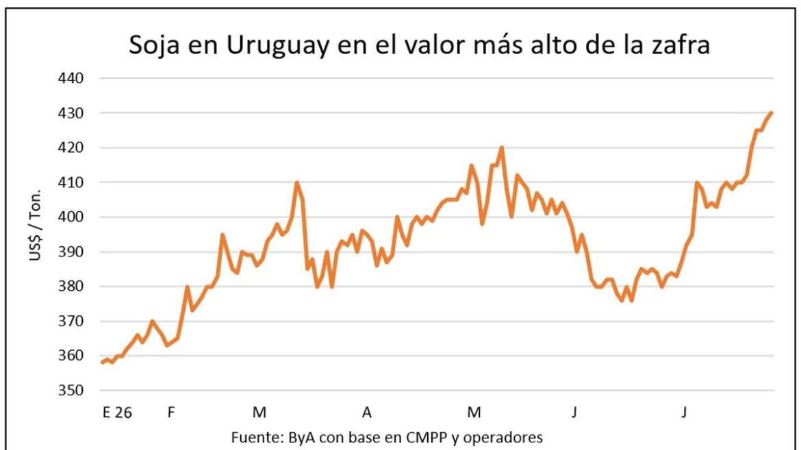 La soja de 2027 logra hasta US$ 420 por tonelada en un escenario de varios precios de granos al alza