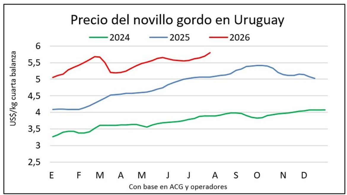 Los precios de novillos y terneros cierran julio con nuevos máximos en la historia